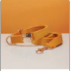 Multiple Colour Velvet Personalise Dog Collar Leash Set With Bow (Option: Yellow set-L)